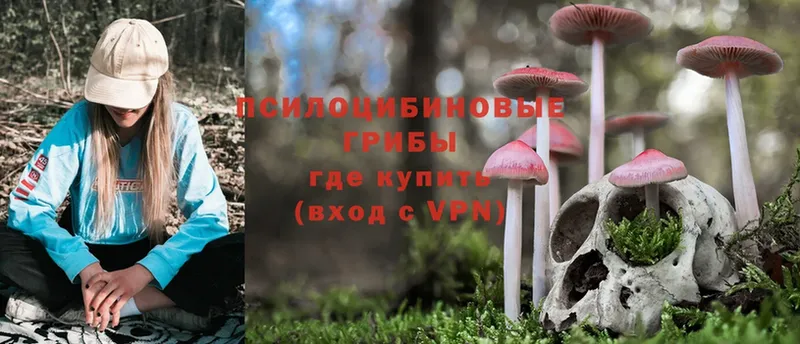 Псилоцибиновые грибы Magic Shrooms  даркнет сайт  Гагарин 